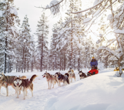 Magical holiday to Santa’s Lapland